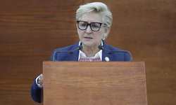 Salud mental debe atenderse desde el primer nivel de atención médica: Dip. Frinné Azuara