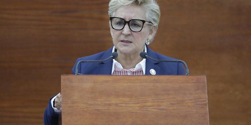 Salud mental debe atenderse desde el primer nivel de atención médica: Dip. Frinné Azuara