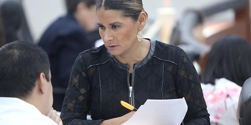 Sin resultados positivos la Alerta de Violencia de Género: diputada