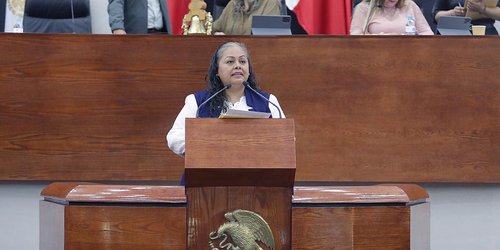 Buscan que padrón de deudores alimentarios morosos sea público y de consulta gratuita