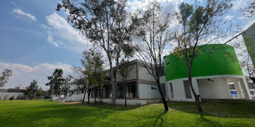 Alerta instituto Temazcalli sobre daños a la salud por reto viral del Clonazepam