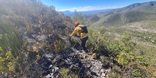 Gobierno del Estado apoya en combate de incendio forestal en Matehuala