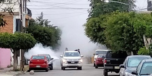 Incrementan acciones de combate al dengue