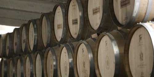 Ricardo Gallardo promocionar a vinos y mezcales potosinos en Japón