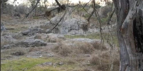 Pueden desaparecer manantiales de la Virgen, Laborcilla y Paso Real