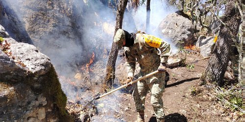 Ejército Mexicano despliega elementos en la huasteca potosina para aplicar el Plan DN-III-E en incendios forestales