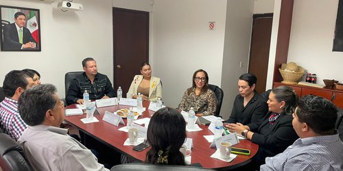 Abren ventanilla para el programa de paneles solares en Cd. Valles