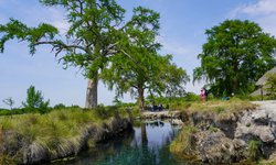 Actualizan concesión de agua al ejido San Francisco, para cuidar especies de plantas y animales en Los Peroles