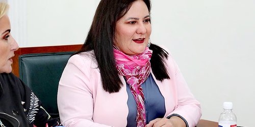 Guarderías, hoteles y spas de mascotas deben cumplir estándares de bienestar animal