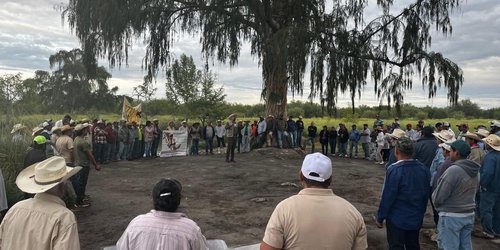 Impulsan restauración ecológica en Los Peroles para preservar su riqueza ambiental