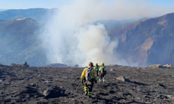 Un incendio en el Pico del Lobo, en Guadalajara, calcina ya más de 550 hectáreas