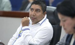 En comisión, aprueban exhorto para fortalecer presupuesto federal para contingencia sanitaria del gusano barrenador