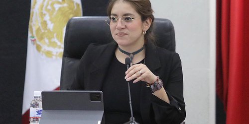 Proponen incorporar concepto de líneas moradas a Ley de Ordenamiento Territorial