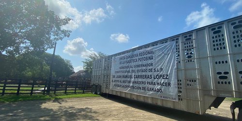 SLP vuelve a exportar ganado bovino a EUA después de 24 años