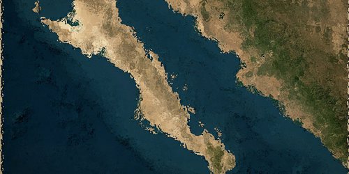 Proyecto Saguaro es 'imperialismo ecológico' en el Golfo de California: Mittermeier.