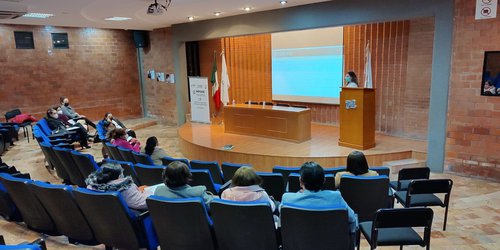 Primera reunión ordinaria del Subcomité Estatal de la red TAES