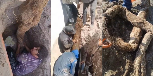 Encuentran enormes raíces que por 10 años bloquearon el agua potable en dos colonias de Ecatepec.
