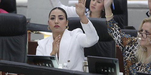 Buscan incorporar el concepto de parto humanizado dentro de la Ley de Salud del Estado