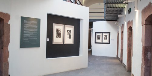 Exposiciones artísticas de Moisés Díaz y Carlos Castañeda en CEART