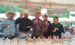 Productores de Lagunillas impulsan sazonadores naturales y logran exportación a EE.UU.