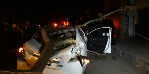 Ciudad sin luz SLP por fuertes vientos: Árbol cae y aplasta automóvil