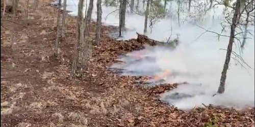62 incendios forestales se han detectado y atendido en SLP