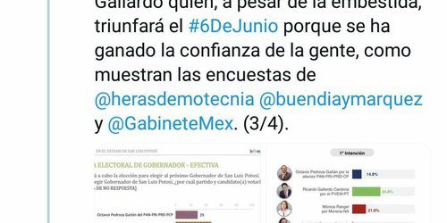 Verde y PT nacionales denunciarán intromisión del Estado en elección a Gobernador en SLP