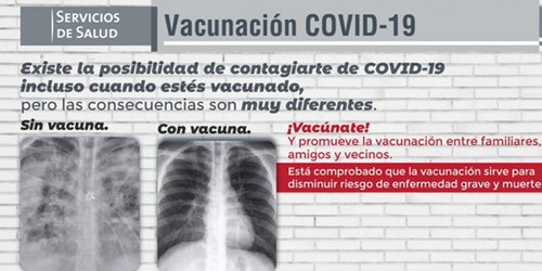 En etapa de supercontagio: vacuna y cubrebocas son superprotectores: Lutzow Steiner