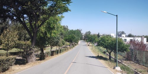 Por fuertes vientos, cierra PC parque Tangamanga y se mantiene alerta para brindar atención