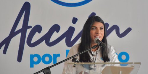 PAN anuncia fortalecimiento a comités municipales de cara al 2024
