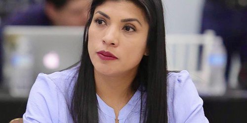 Con eventos abiertos a la ciudadanía, recibiremos a aspirantes presidenciales de va por México: PAN SLP