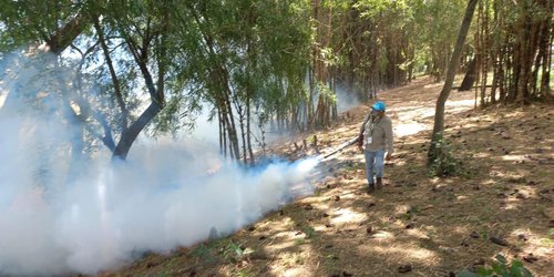 Gobierno estatal intensifica acciones preventivas contra el dengue