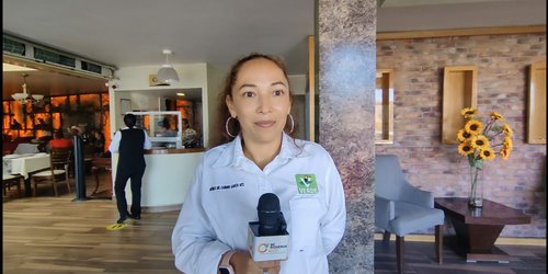 Renovarán el Partido Verde en Tamasopo