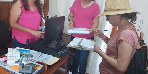 Concluyó la ejecución de procedimientos de auditoría, tales como los que se desarrollan en las visitas de campo.