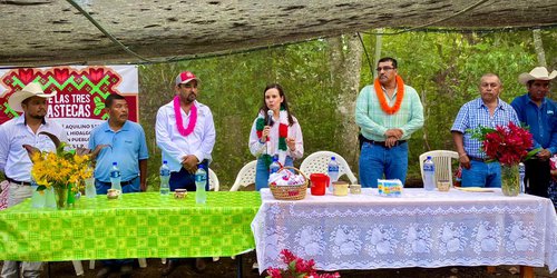 Con apoyo estatal despega producción de café en SLP