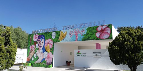 Temazcalli brinda apoyo a familias potosinas con 68 mil atenciones