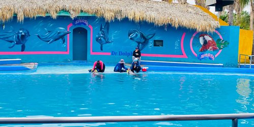 Pacientes de UBR de Villa de Reyes reciben delfinoterapia en Guanajuato