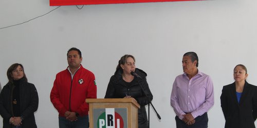 Morena recorta recursos para personas con discapacidad: PRI