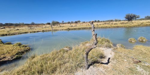 Gobierno Estatal fomenta el cuidado del medio ambiente