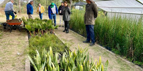Segam supervisa crecimiento de árboles en el vivero Tangamanga I