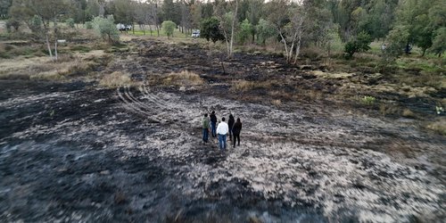 Controlado el incendio en parque Tangamanga I