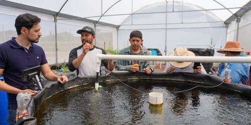 Capacitan a municipios de la huasteca acerca de la técnica de cultivo de Acuaponía