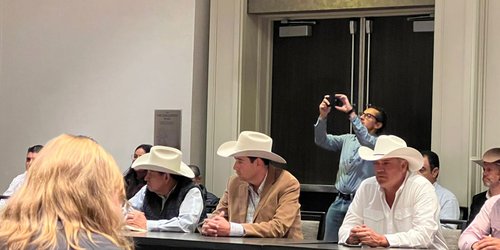 Sedarh trabaja en apoyo a la salud del ganado bovino