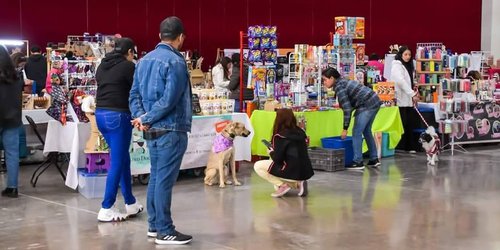 Gobierno Estatal amplía apoyo de tarjeta joven con beneficios para mascotas