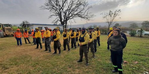 Avanza el combate de incendios forestales en SLP