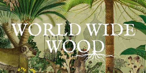 El Jardín Escultórico Edward James se une al lanzamiento de World Wide Wood, la enciclopedia de Google