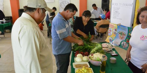 Promueven salud y nutrición en escuelas