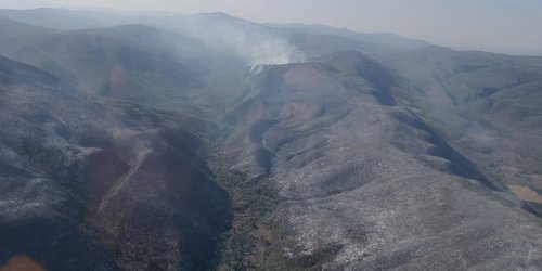 Comité del manejo del fuego trabaja en incendios forestales