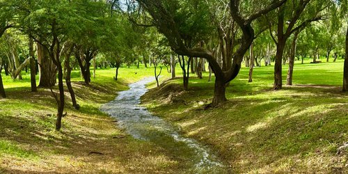 Lluvias revitalizan la naturaleza en Parques Tangamanga