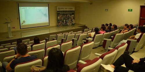 Feria segura y responsable para todas y todos los potosinos